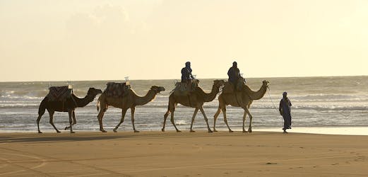 Paseo guiado en camello en Essaouira